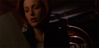 "Still looking for God. Also crop circle patterns."