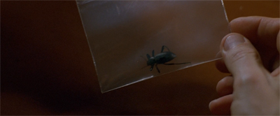 We mite have a problem here.