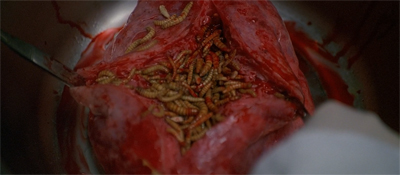 "I guess he caught a bug."