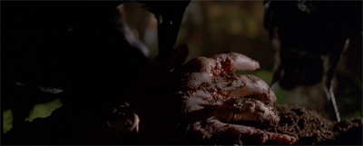 More like "carry on, birds." Am I rite?