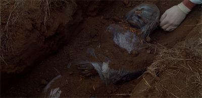 The truth is unearthed.