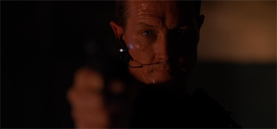 Shooting holes in that theory...