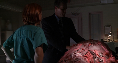 "Okay, NOW I understand why local law enforcement aren't happy to see you."