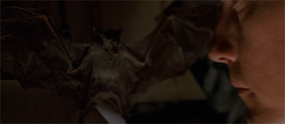 "To be fair, maybe you shouldn't have stuffed his kids, Mister Stefaniuk."