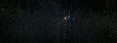 In the long grass...