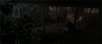 A shot in the dark...