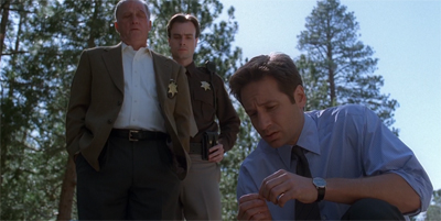 Picking up the pieces...