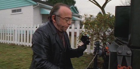 Going the whole front yard...