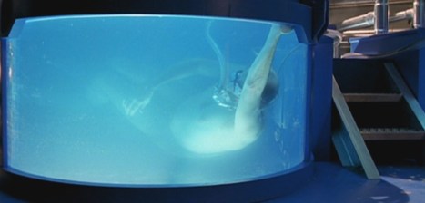 I'm blue... dabba dee dabba da...