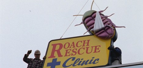 For bugs that catch bugs...