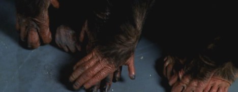 The matter at hand...