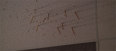 We've reached the point where the show is nostalic about Chinga.