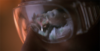 Reflecting on the horror...