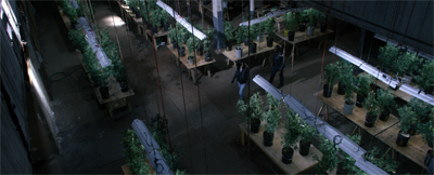 jessicajones-youreawinner29