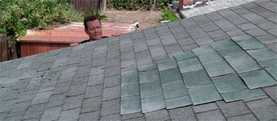 "Fan expectations are through the roof!"