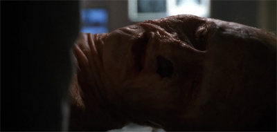 A nose for adventure...