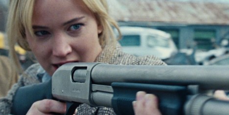 Could the domestic cleaning industry use a shot in the arm?