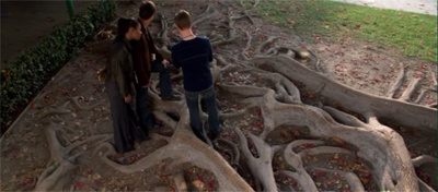 The root of the problem...