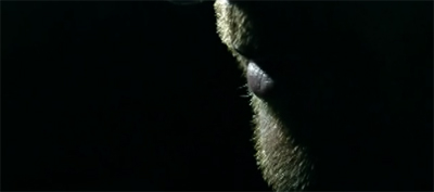 Paying lip service...