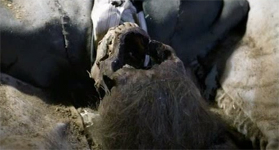 nightstalker-timeless11