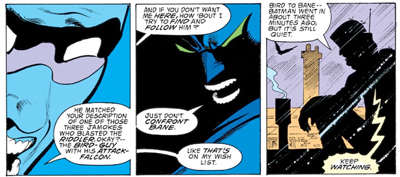 Shadow of the bat...