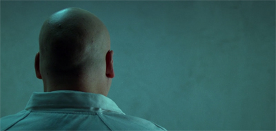 Rabbit in a snowstorm.