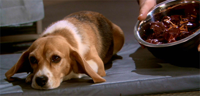 Porthos seems pretty cheesed off.