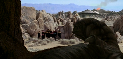 Eel-judged decision...