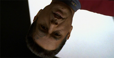 Chakotay is just dreamy.