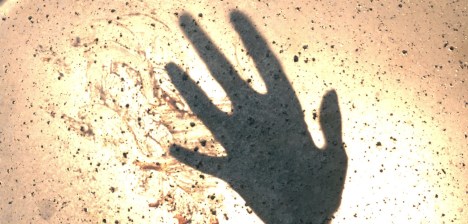 The truth is still out there...