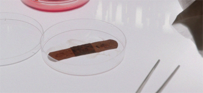 Plastered all over town.