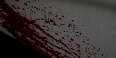 The police are going to have to canvas the neighbourhood looking for suspects.