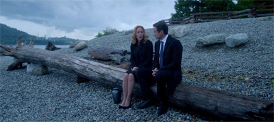 Conversation on the Log.