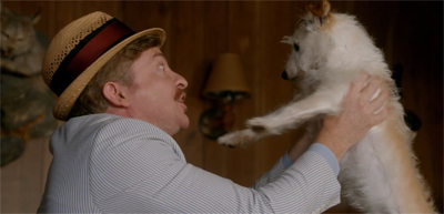 It's a dog's (or lizard's) life.