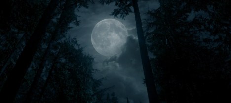 Total eclipse of the heart.