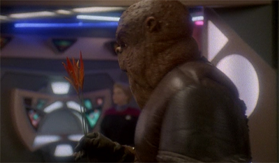 Roses are red, Violets are blue...