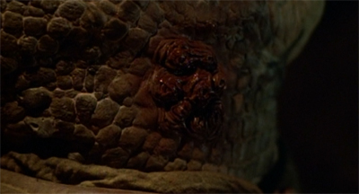 Strange is all too common in this neck of the woods.