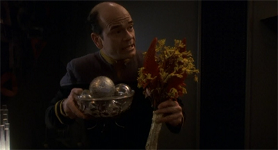 "Ornaments or flowers or me? Hm. This was much sexier when Lauren Holly did it."