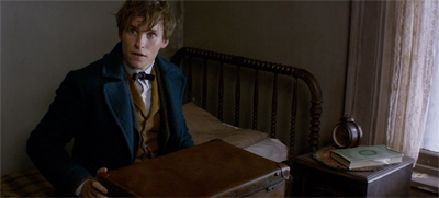 Newt is on the case.