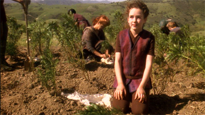 Never too far afield.