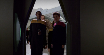 Colony collapse disorder.