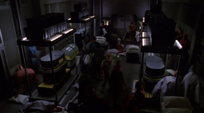 Refugees in absurdity.