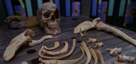 The bones of a theory.