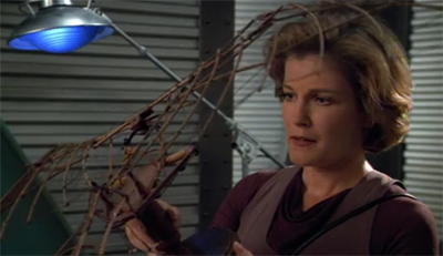 "I shall become a man who makes small scale models of bats."