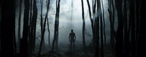 If you go down to the woods today...